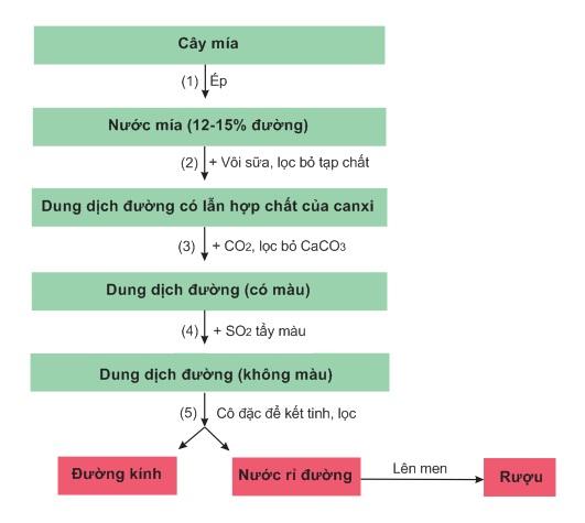 Lý Thuyết Saccarozơ Tinh Bột Và Xenlulozơ Đầy Đủ Nhất & Bài Tập