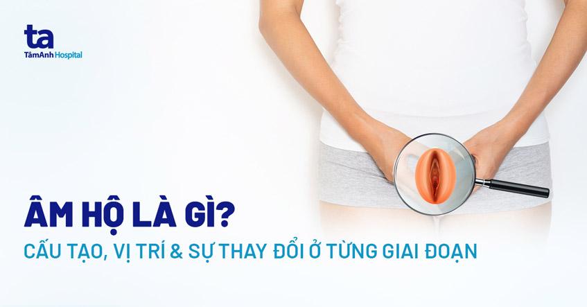 Âm hộ là gì? Cấu tạo, vị trí, chức năng, sự thay đổi theo giai đoạn