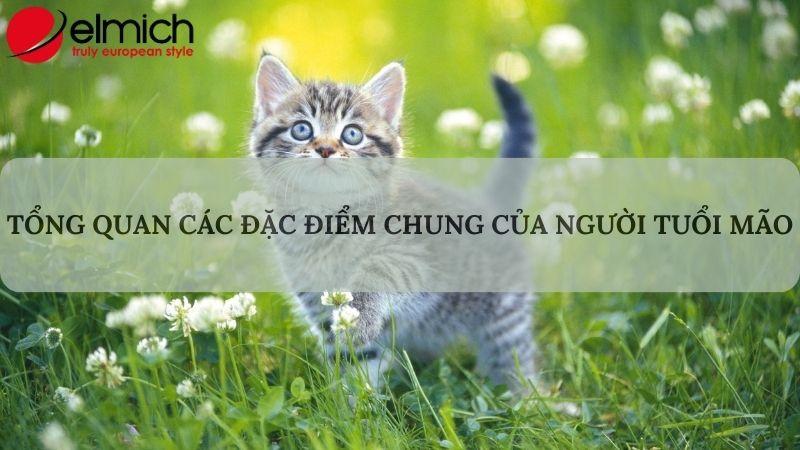 Hình 1: Giới thiệu chung về tính cách người tuổi Mão