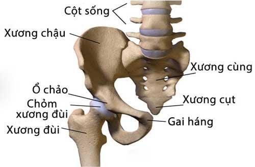 Các nguyên nhân gây đau xương cụt