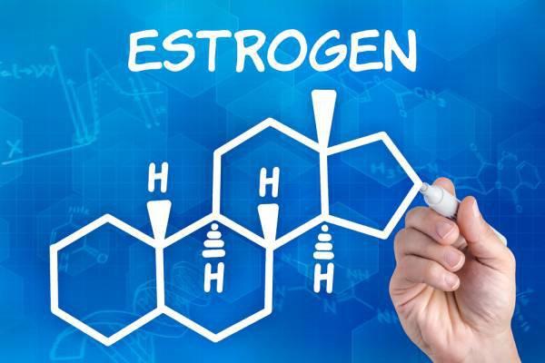 Ơstrogen được sinh ra ở đâu? Các loại ơstrogen chính 1