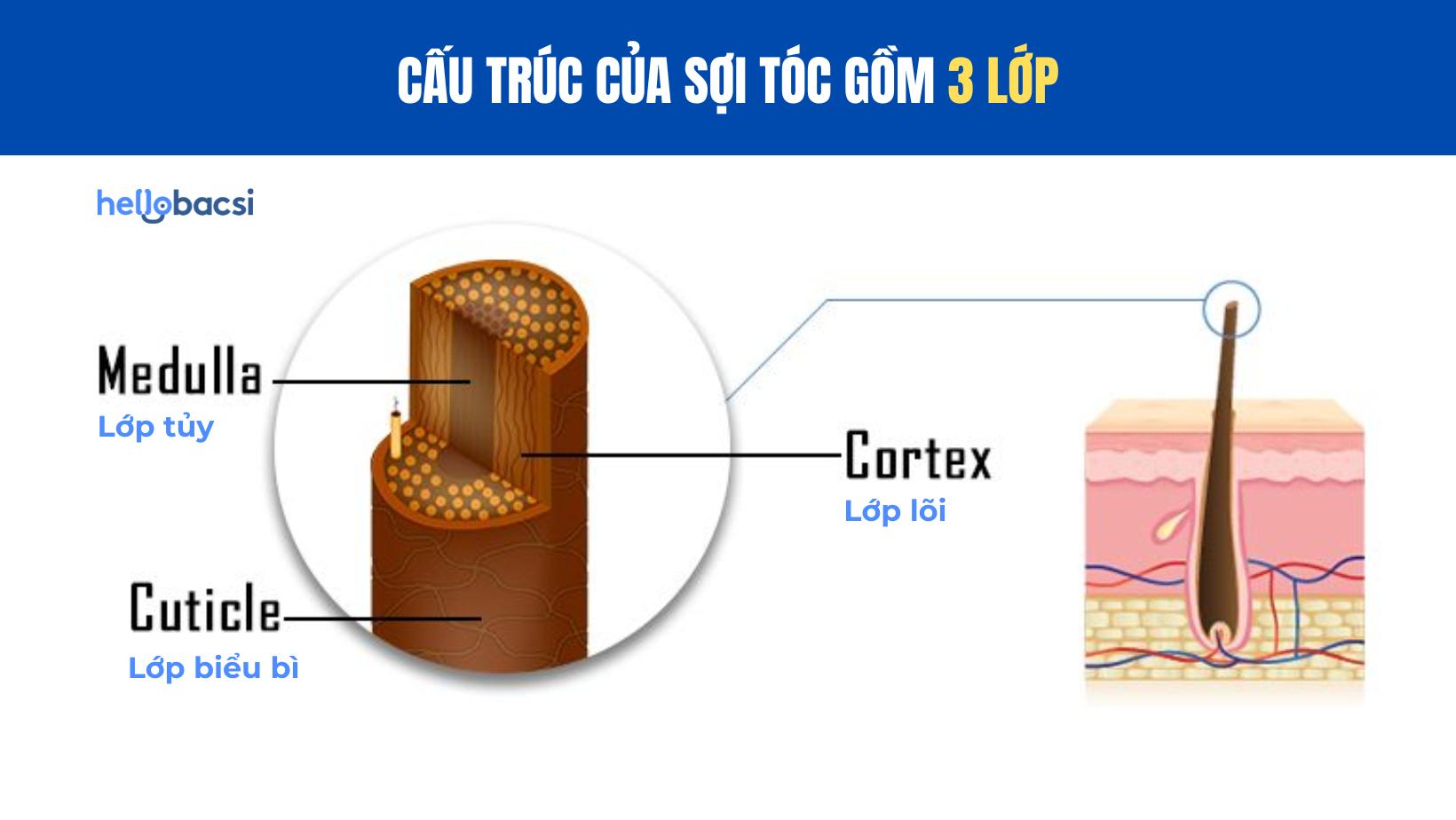 cách làm tóc đen trở lại sau khi nhuộm