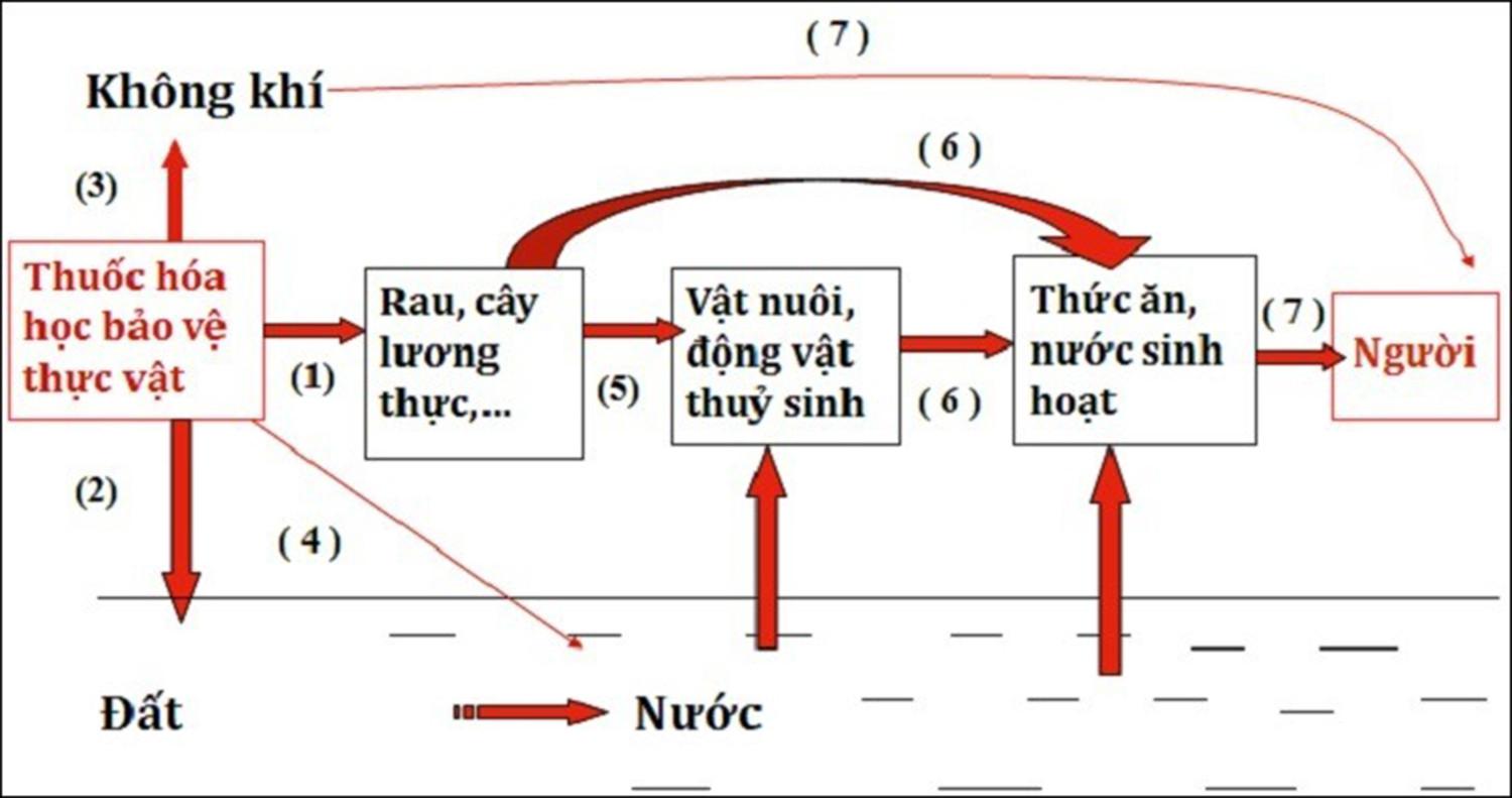 Tất tần tật những thủ thuật hay ho của cách vẽ sơ đồ trong Word 2010