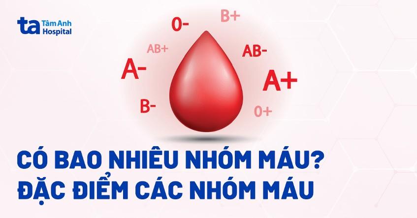 Con người có bao nhiêu nhóm máu? Đặc điểm các nhóm máu là gì?