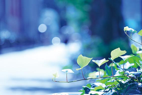 Tìm những nội dung bạn muốn