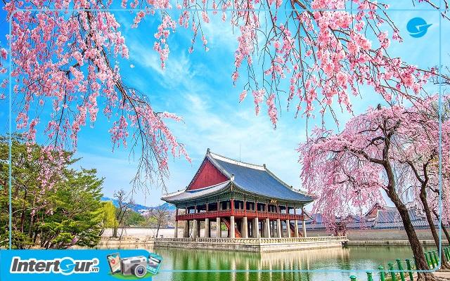 Thời tiết Seoul tháng 4 nên chơi ở đâu, mang theo gì?