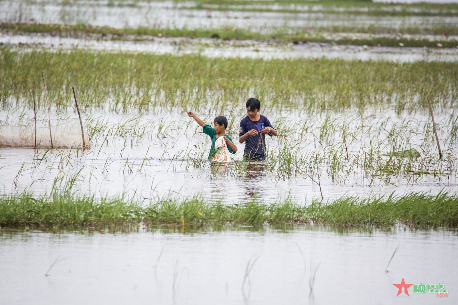Chốn quê thanh bình