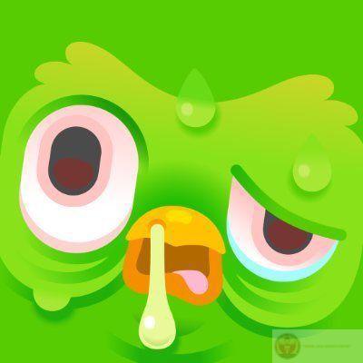 Duolingo meme bựa lầy lội, ảnh chế cười té ghế hot nhất