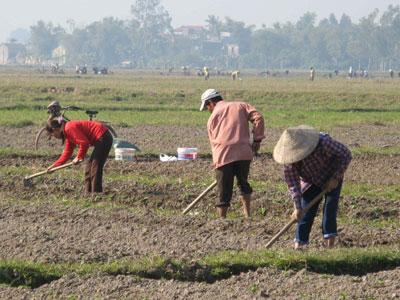 Đại tạng kinh Việt Nam