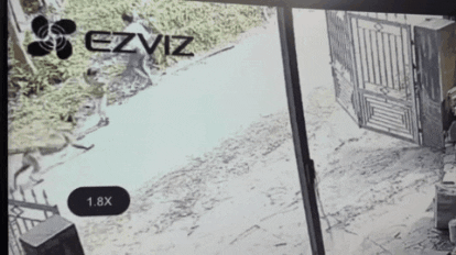 Vụ chó dữ tấn công bé trai 2 tuổi: Chó xổng chuồng khi chủ nhân đi vắng