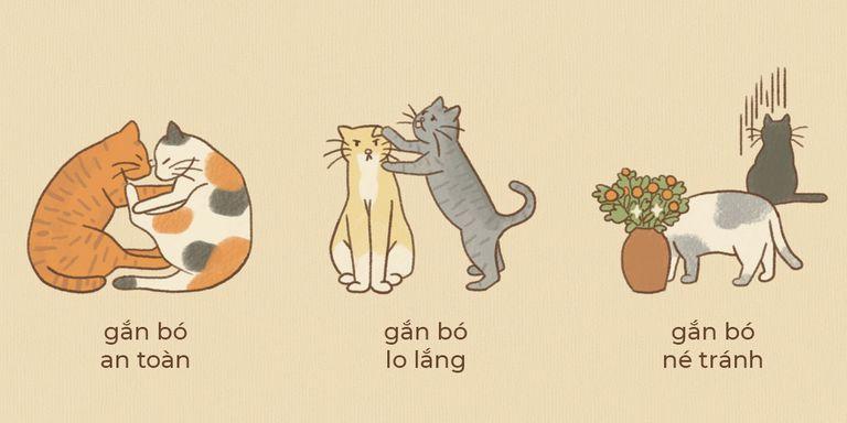 Well-nessThuyết gắn bó lý giải nguyên nhân bạn vẫn chưa có mối quan hệ như ý