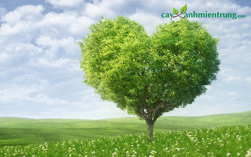 100+ Hình ảnh cây xanh làm hình nền đẹp nhất