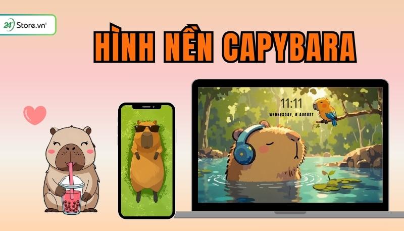199+ Hình nền Capybara DỄ THƯƠNG, đáng yêu, vô tri, đẹp nhất
