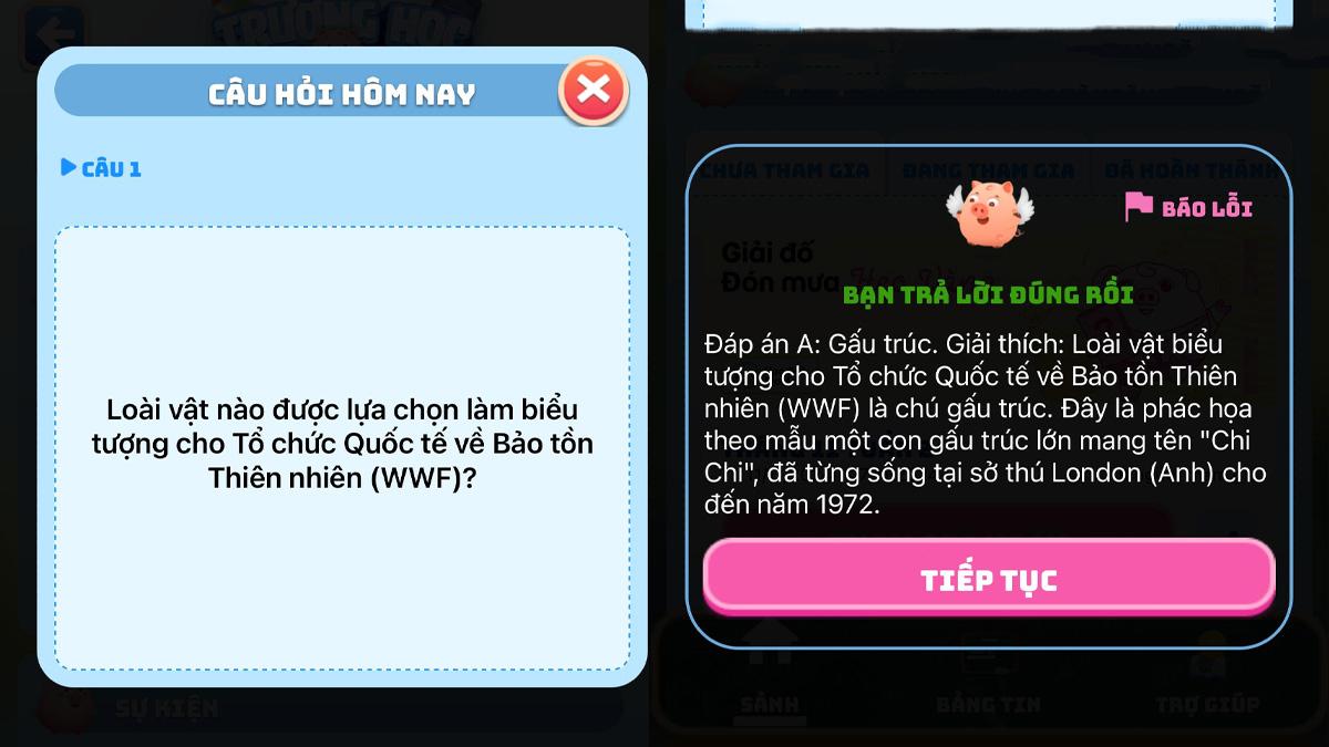 Đáp án MoMo | Cho Heo đi học hôm nay mới nhất