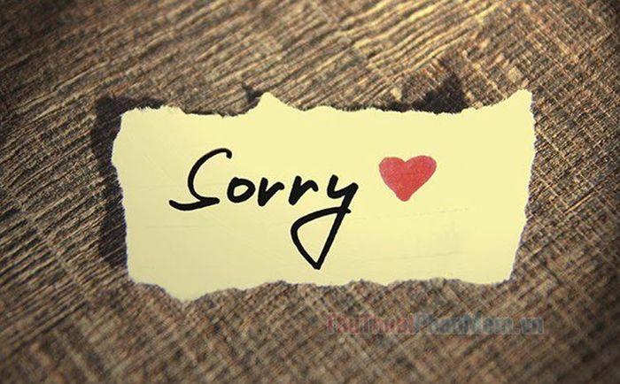 Bộ sưu tập meme xin lỗi đáng yêu, ngộ nghĩnh và hài hước