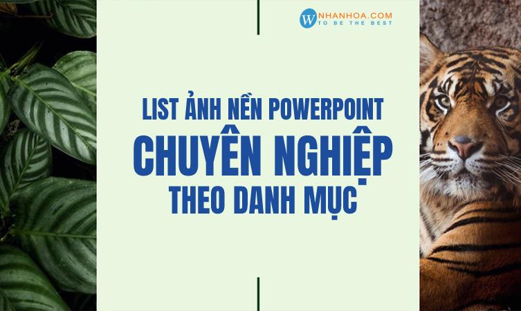 List ảnh nền powerpoint chuyên nghiệp theo danh mục