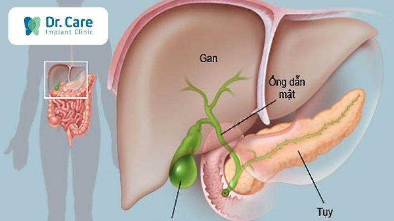Ngủ dậy thấy đắng miệng là bệnh gì? Nguyên nhân và cách khắc phục