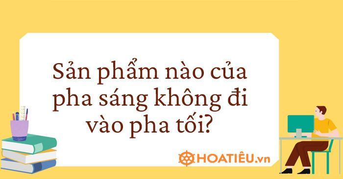 Sản phẩm nào của pha sáng không đi vào pha tối đã được xác định