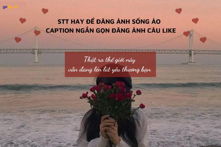 Tổng hợp 99+ stt ảnh đại diện siêu hay, ý nghĩa, cực hút like