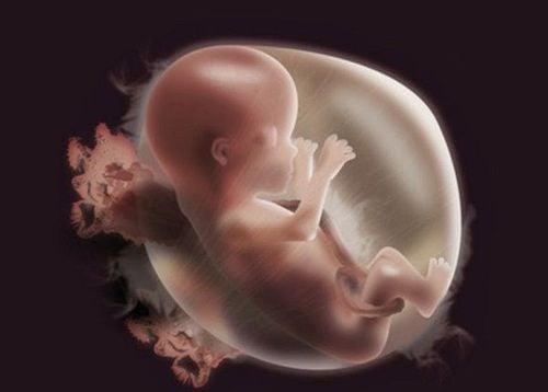 Thuốc lá ảnh hưởng tới sức khỏe thai nhi như thế nào?