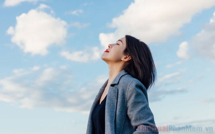 Những bài thơ về niềm vui cuộc sống, sự lạc quan và tình yêu đời, mang đến năng lượng tích cực