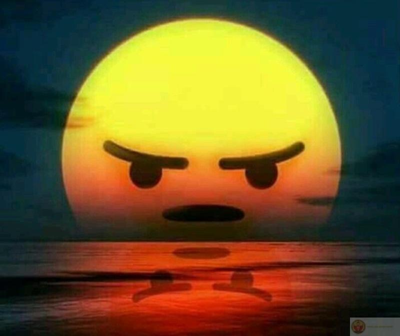 Sưu tầm meme tức giận cute siêu dễ thương