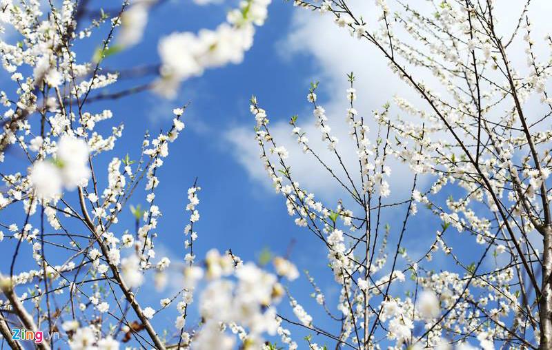 Bài cúng tất niên chiều 30 Tết theo 'Văn khấn cổ truyền Việt Nam'