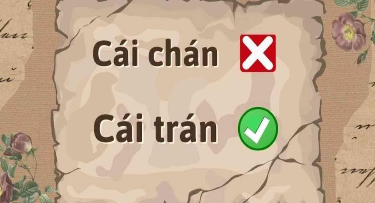 Cái trán hay cái chán? Từ nào đúng chính tả? Trán nào là trán thông minh?
