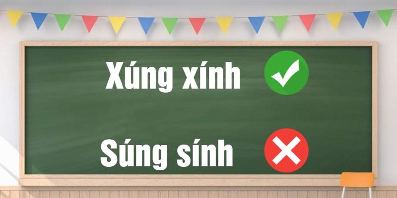 Xúng xính hay súng sính? Bí quyết phân biệt và nói chuẩn từ vựng