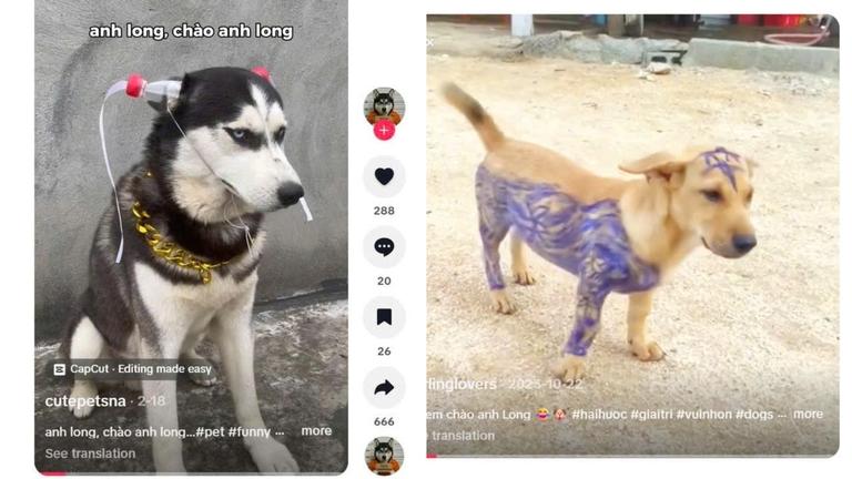 “Anh Long” là ai mà fan Việt gọi vang cuối tuần vừa rồi?