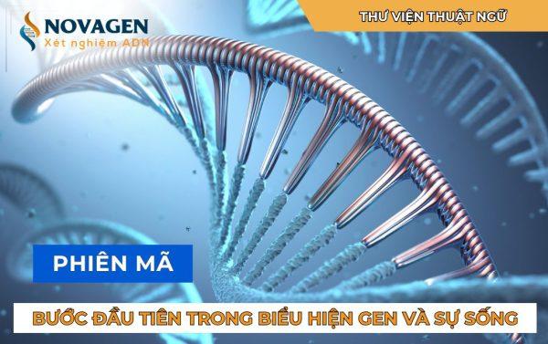 Phiên mã: Bước đầu tiên trong biểu hiện gen và sự sống