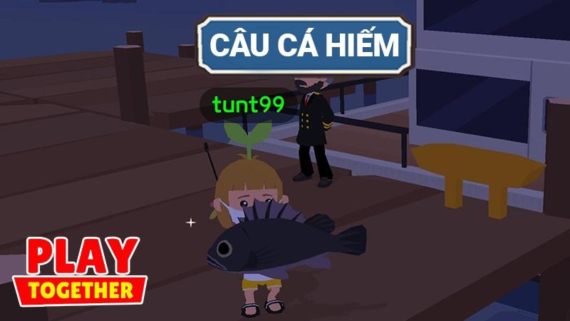 Cách câu cá trong Play Together, bí kíp câu cá hiếm dễ dàng