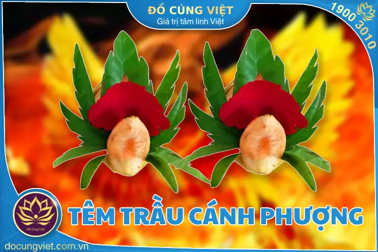 Cách têm trầu cánh phượng đẹp
