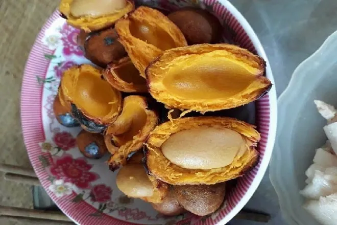 Méng là gì? Nghĩa, cách dùng tiếng Nghệ và ví dụ dễ hiểu