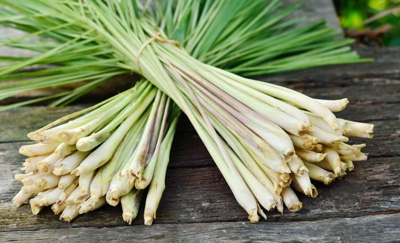 Củ sả nấu nước uống có tác dụng gì với sức khỏe?