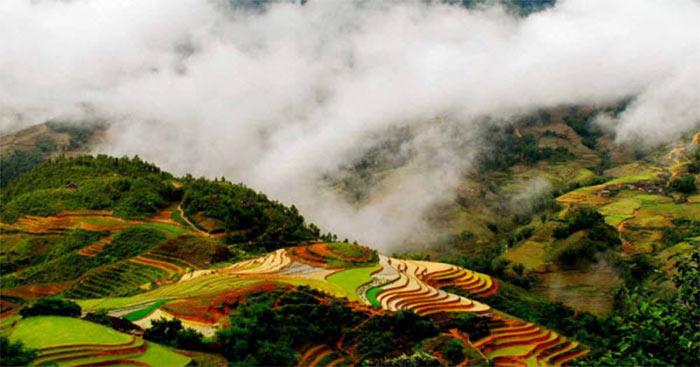 Dàn ý Phân tích nhân vật Anh thanh niên trong Lặng lẽ Sa Pa (6 mẫu + Sơ đồ tư duy)                                   Phân tích nhân vật Anh thanh niên hay nhất