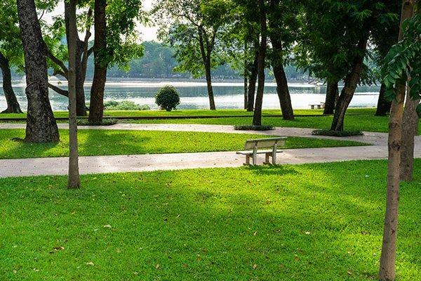 Lập dàn ý Tả cảnh công viên lớp 5