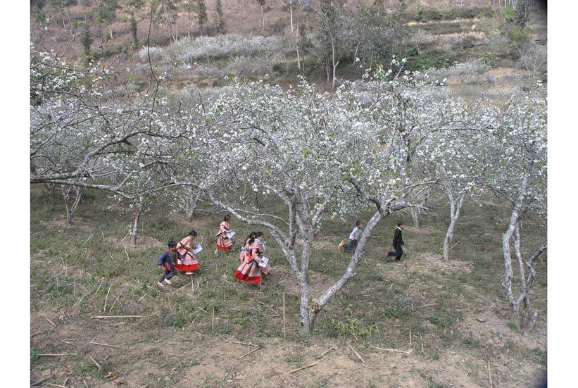 » Lại cái trò dí súng vào đầu trẻ con