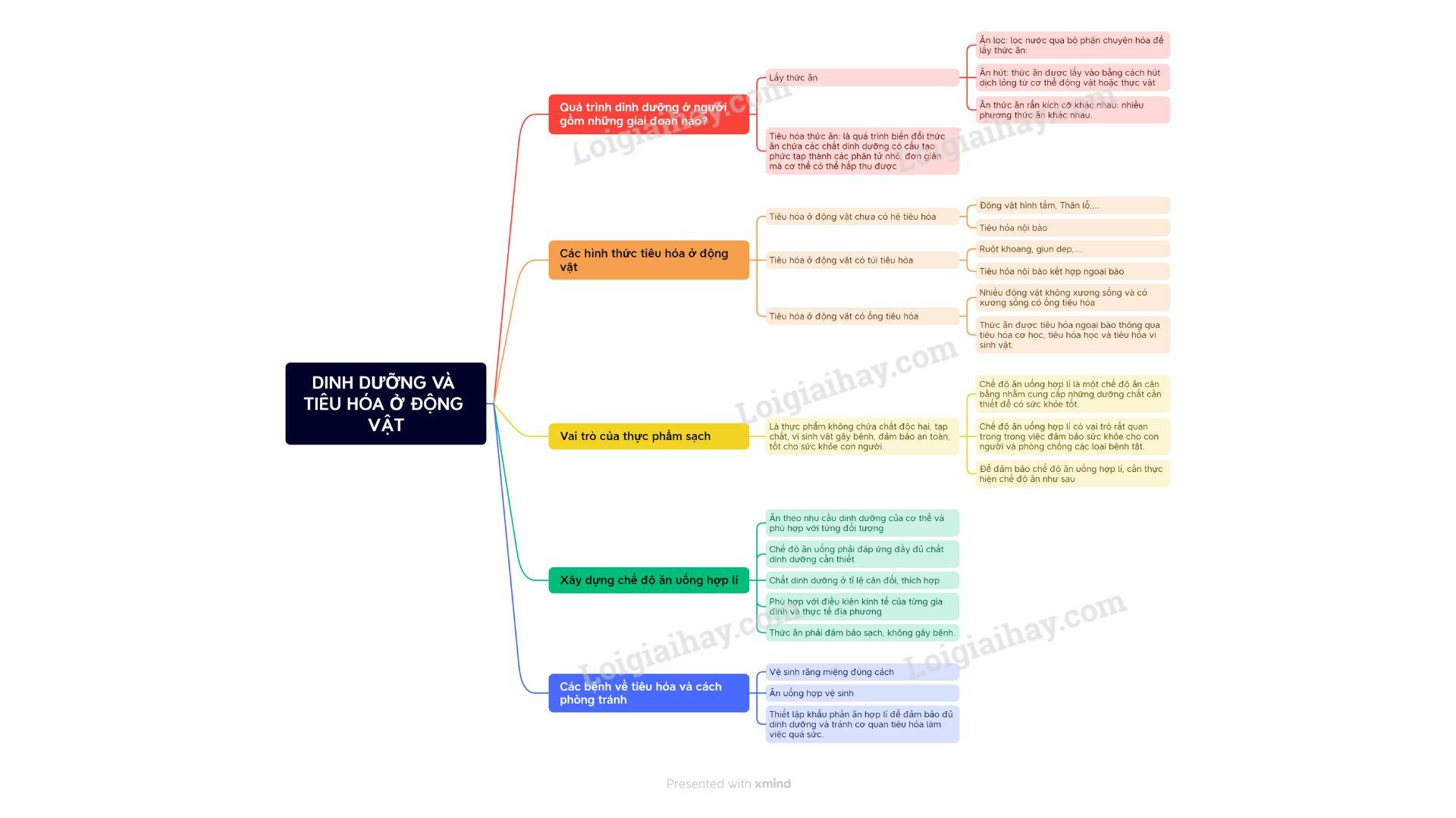 Lý thuyết Dinh dưỡng và tiêu hóa ở động vật - Sinh học 11 Chân trời sáng tạo
