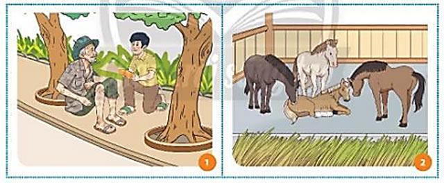 GDCD 7 Bài 2: Quan tâm, cảm thông và chia sẻ                               Giáo dục công dân lớp 7 trang 11 sách Chân trời sáng tạo