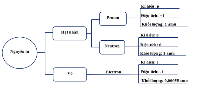 Giải SBT KHTN 7 Kết nối tri thức bài 2 trang 7, 8, 9, 10, 11