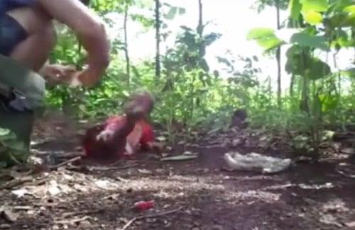 Hả hê trước đau đớn của người khác là bệnh tâm thần