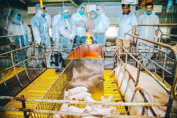 Học phí ngành Thú y nơi cao nhất chưa đến 22 triệu đồng/năm