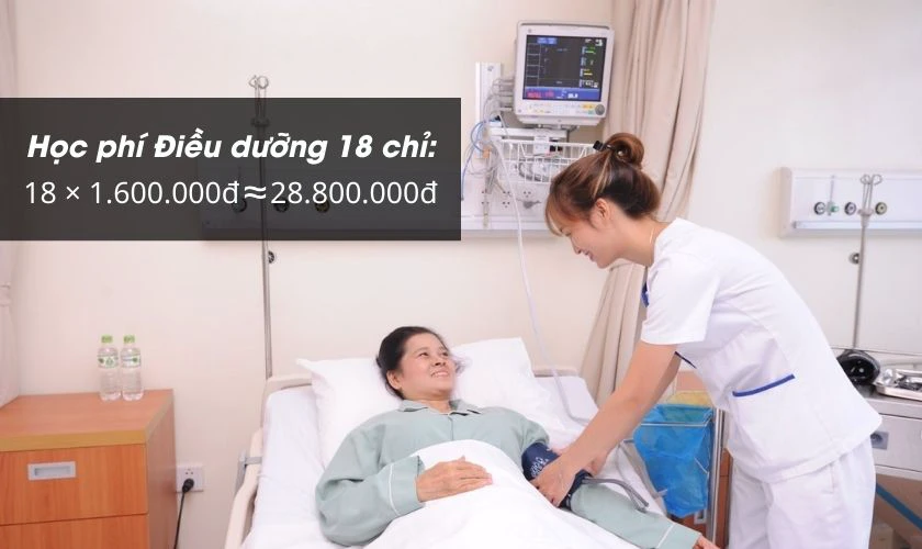 Học phí Nam Cần Thơ 2025: Thông tin chi tiết, đầy đủ 2026