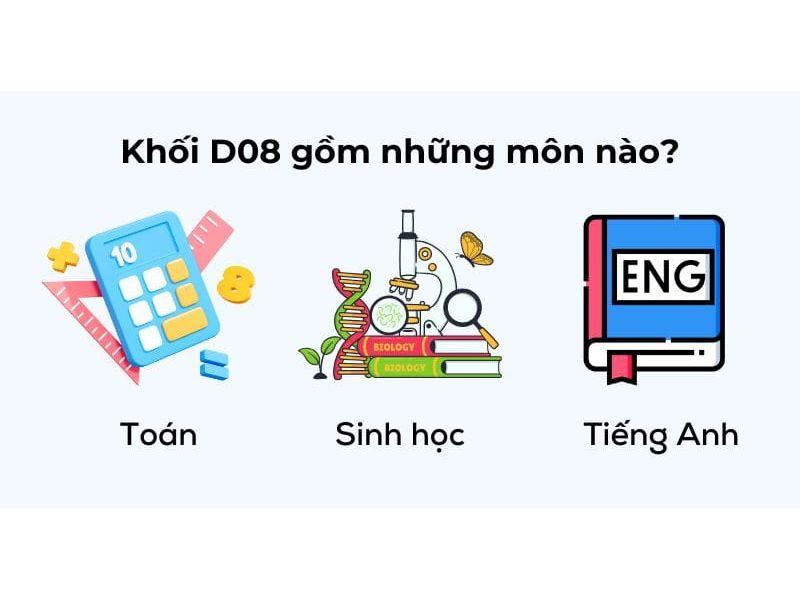 Khối D08 gồm những môn gì? Các ngành và các trường xét khối D08