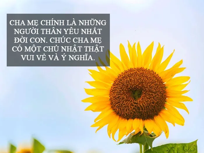 83 lời chúc ngày chủ nhật vui vẻ, đong đầy yêu thương