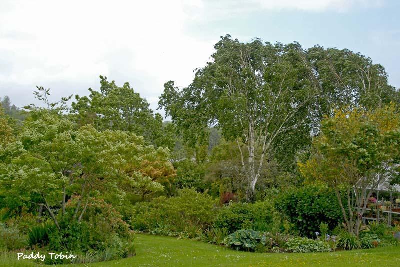 Ní hé Lá na Gaoithe Lá na Scolb!