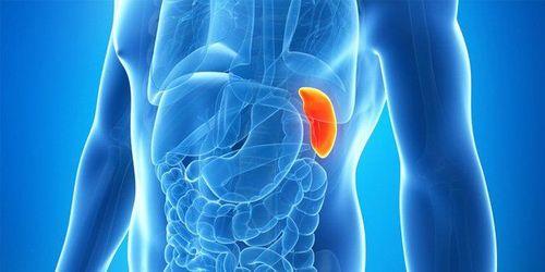 Lách to: Nguyên nhân, triệu chứng và cách điều trị