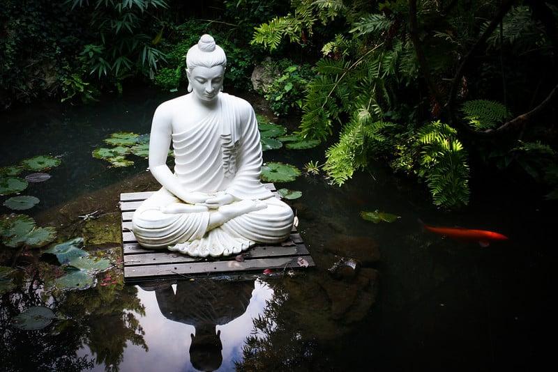 Một chút nhìn lại