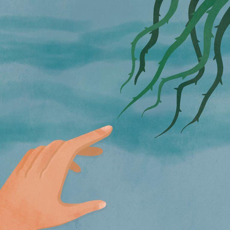 Well-nessLo lắng, căng thẳng, lo âu: Không giống nhau như bạn nghĩ